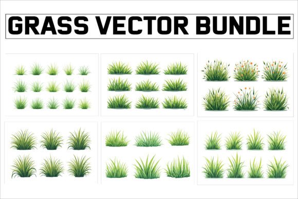 Grass Vector Bundle for Designers