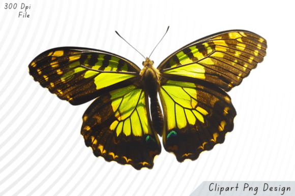 Yellow Green Butterfly PNG Clipart: A Versatile Design Element for Creative Projects